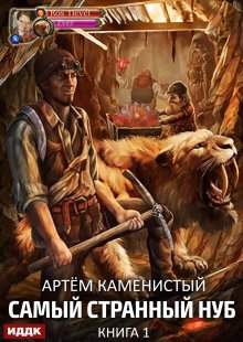 Самый странный нуб. Книга 1